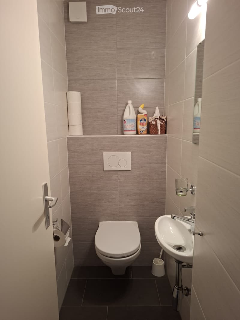 Modern bathroom with a toilet, sink, and various cleaning supplies on the shelf. The walls are tiled in a wood-like pattern, and the floor is dark tiled.