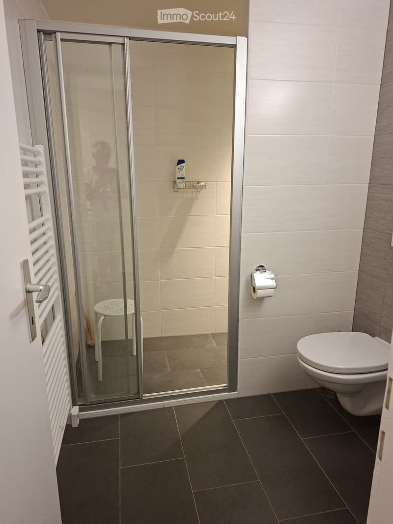 Modern bathroom with dark tiled floor, white tiled walls, glass shower enclosure, toilet, small white stool, radiator, and toilet paper holder.