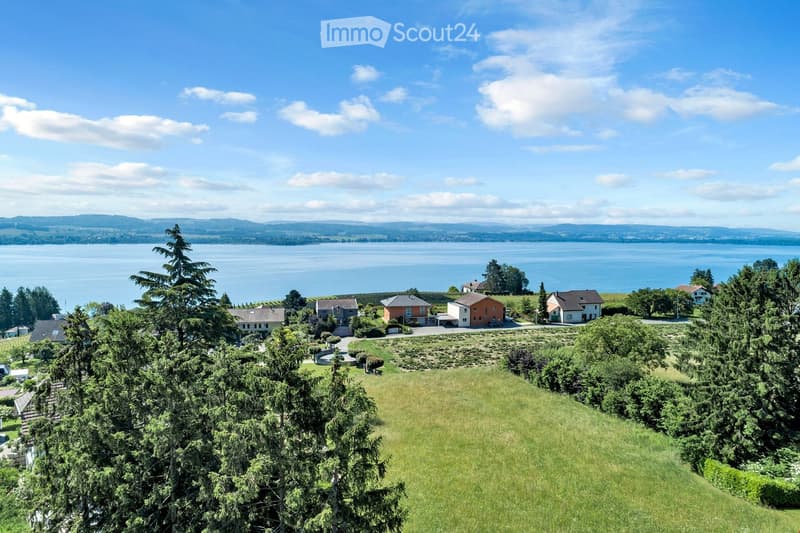 A panoramic view of a residential area with houses, trees, and a lake in the background under a clear blue sky.