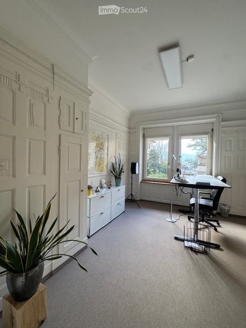 Bright, modern office space with large windows, a desk, chair, cabinet, and decorative plants.