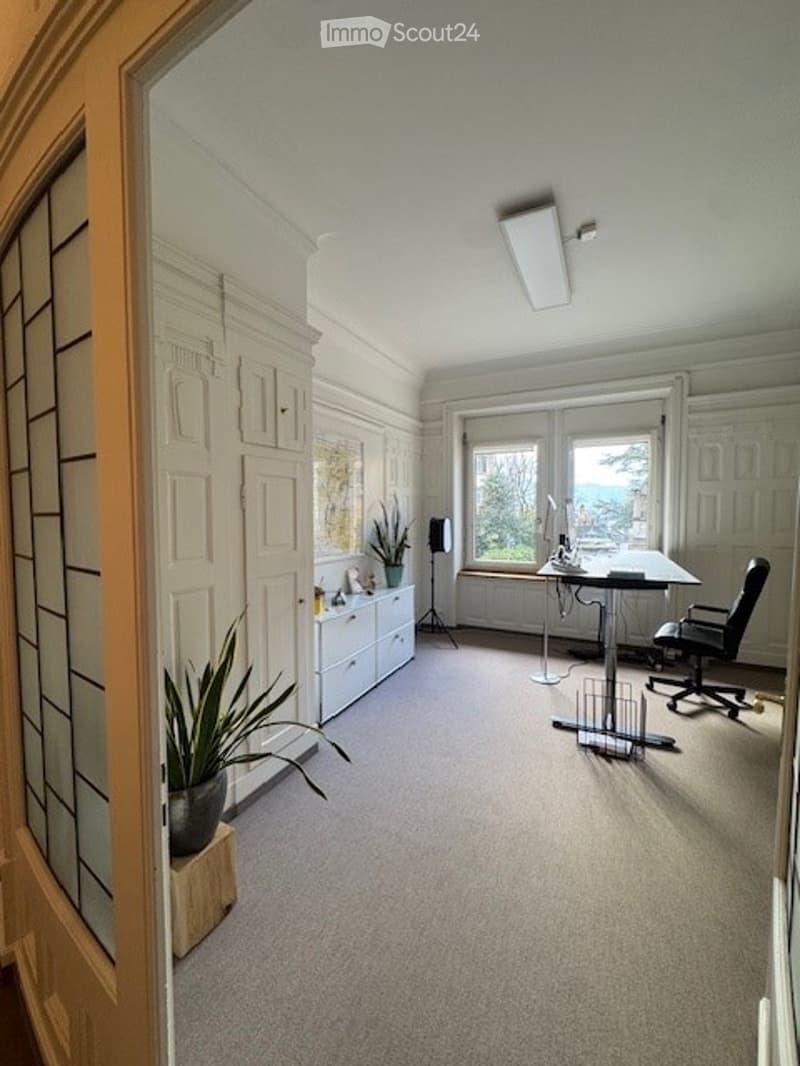 Bright, carpeted room with large windows, a desk, chair, screen, potted plants, and a cabinet.