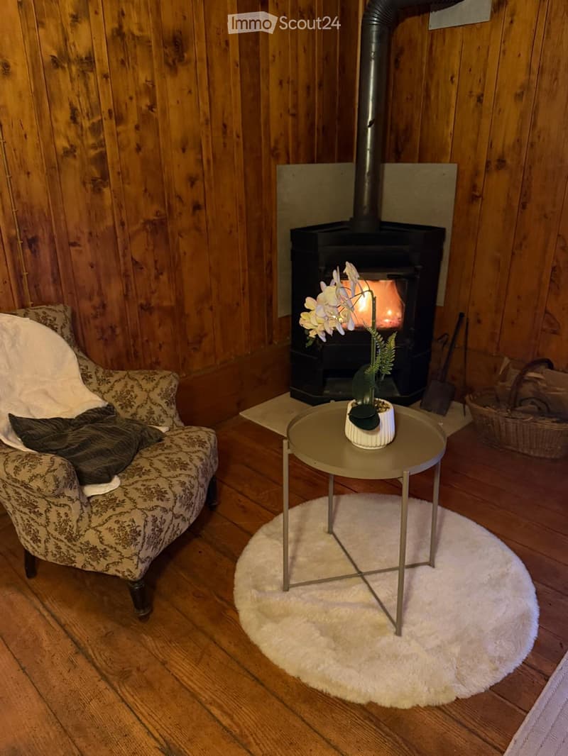 Cozy living room with wooden walls and floor, a fireplace with a burning fire, a patterned sofa with a blanket, a round table with a flower pot, and a white shag rug.