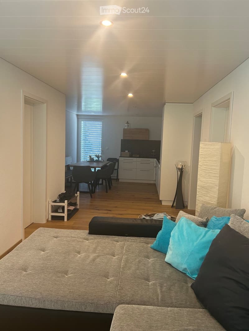 Open-plan living and dining area with a grey sofa, blue and black pillows, a dining table with four chairs, a modern kitchen with white cabinets, and a tall floor lamp.