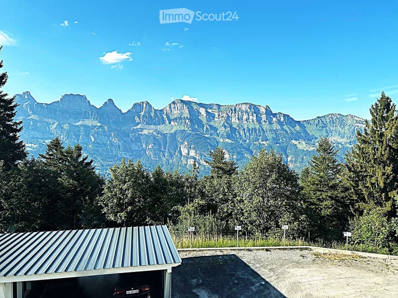 Car garage with a metal roof, situated in a lush green area with a stunning mountain view in the background.