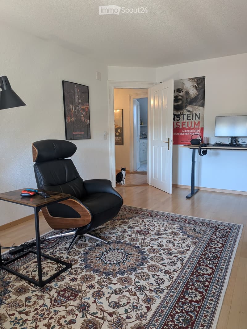 A modern, furnished room with a black leather chair, a small wooden table, a standing desk with a computer screen, a large area rug, and a poster on the wall. A cat is visible in the adjacent room.