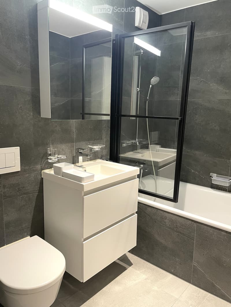 Modern bathroom with dark grey tiles, white sink cabinet, toilet, bathtub, and glass-enclosed shower area.
