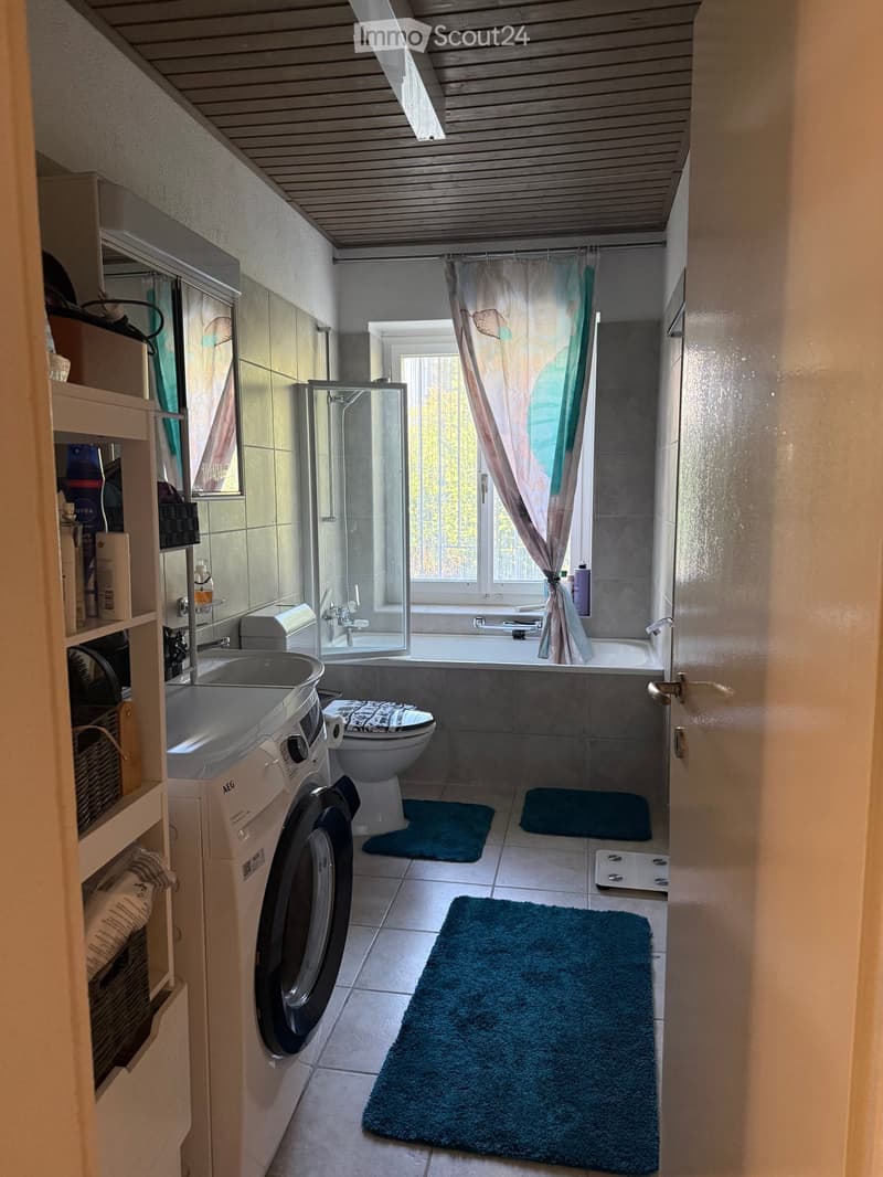 Bathroom with a toilet, bathtub, sink, washing machine, shower, mirror, shelf, and bathroom rugs.