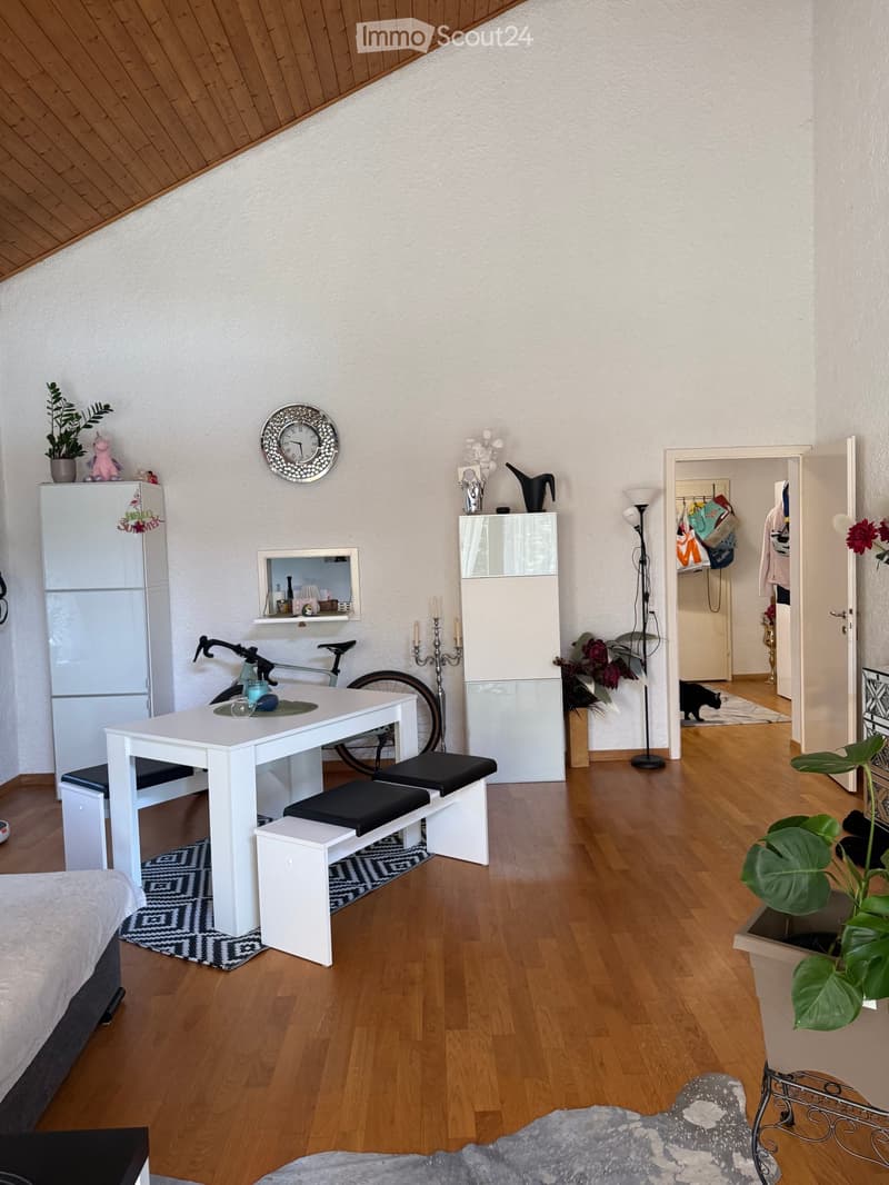 A modern, well-lit room with wooden flooring, a white table with black benches, a refrigerator, a bicycle, a clock, and several plants.