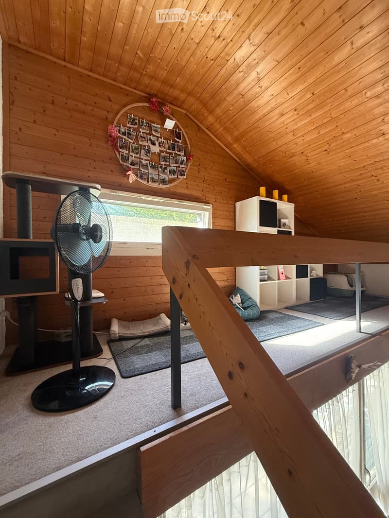 A cozy, wooden-paneled attic room with a cat tree, fan, cat bed, and a circular wall display of photos.