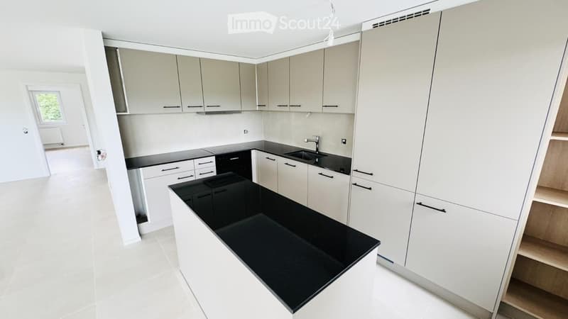 Modern kitchen with white cabinets, black countertop, and built-in sink.