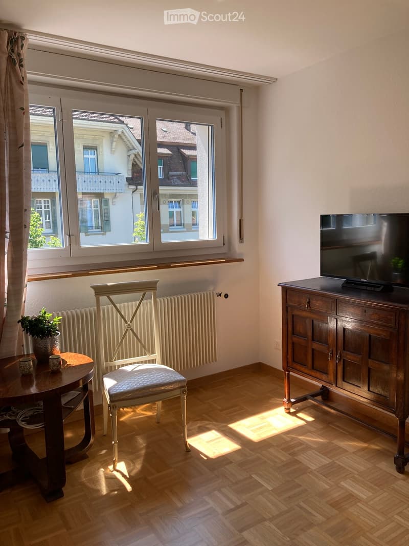 Bright room with wooden flooring, large window with view, a wooden chair, small table with potted plant, television on wooden cabinet, radiator under window.