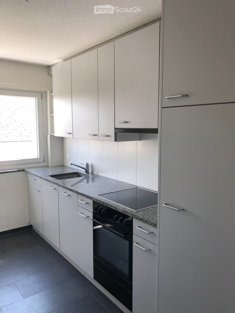 Modern kitchen with white cabinets, granite countertops, stainless steel sink, oven, and stove. Features a window and built-in ventilation hood.
