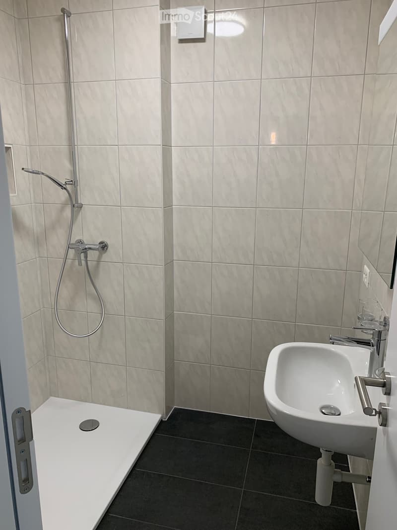 Modern bathroom with a white shower stall, a white sink with a chrome faucet, and a handheld showerhead mounted on the wall.