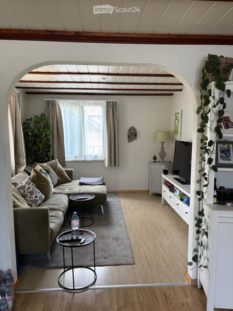 Modern living room with a sectional sofa, coffee table, TV stand, and decorative plants. The room features wooden flooring and large windows with curtains.