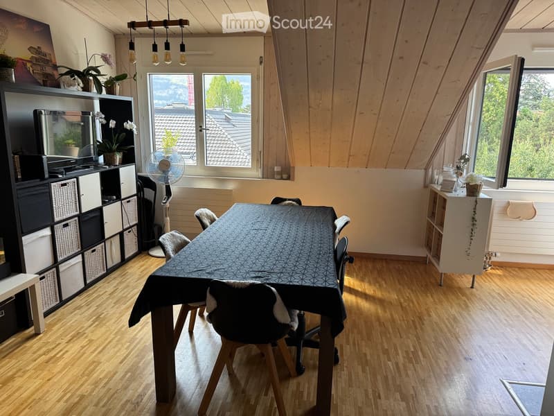 Bright, wooden-floored room with a dining table, chairs, a fan, storage unit, potted plants, and a television. Large windows offer a view of the roof and greenery outside.