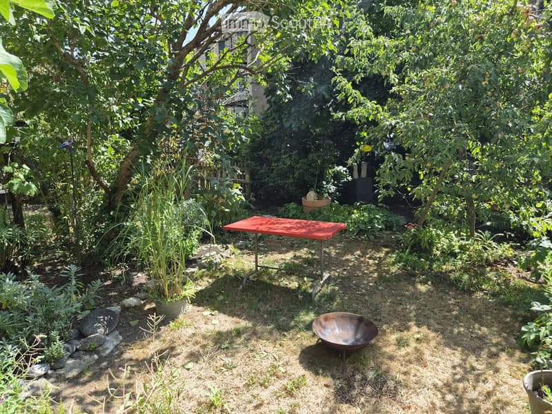 Garden with fruit trees, potted plants, a red table, and a metal bowl on the ground.