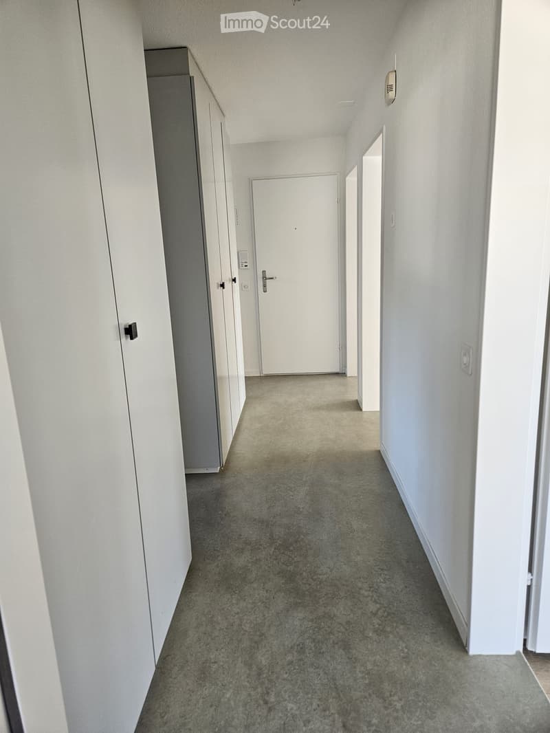 Empty hallway with white walls, carpeted floor, and several doors leading to rooms.