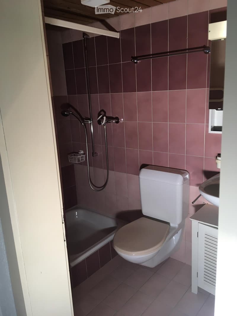 small bathroom, white toilet, walk-in shower, small sink, brown and pink tiles