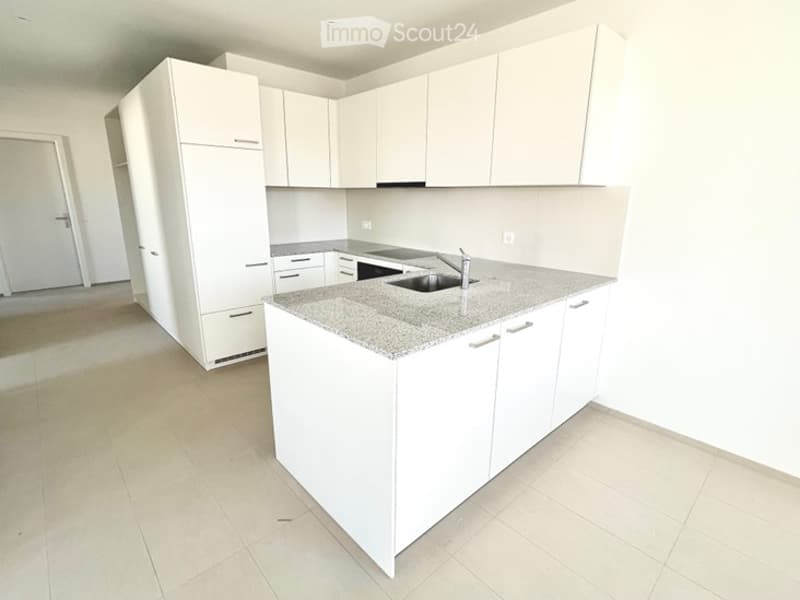 modern kitchen, granite countertops, white cabinets, stainless steel sink, open layout