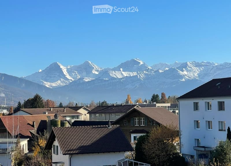 Town houses with brown and white roofs in a town with mountains in the distance.
