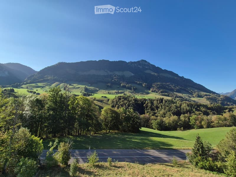 A scenic view of a lush green valley surrounded by forested hills and mountains under a clear blue sky. A paved road winds through the valley.