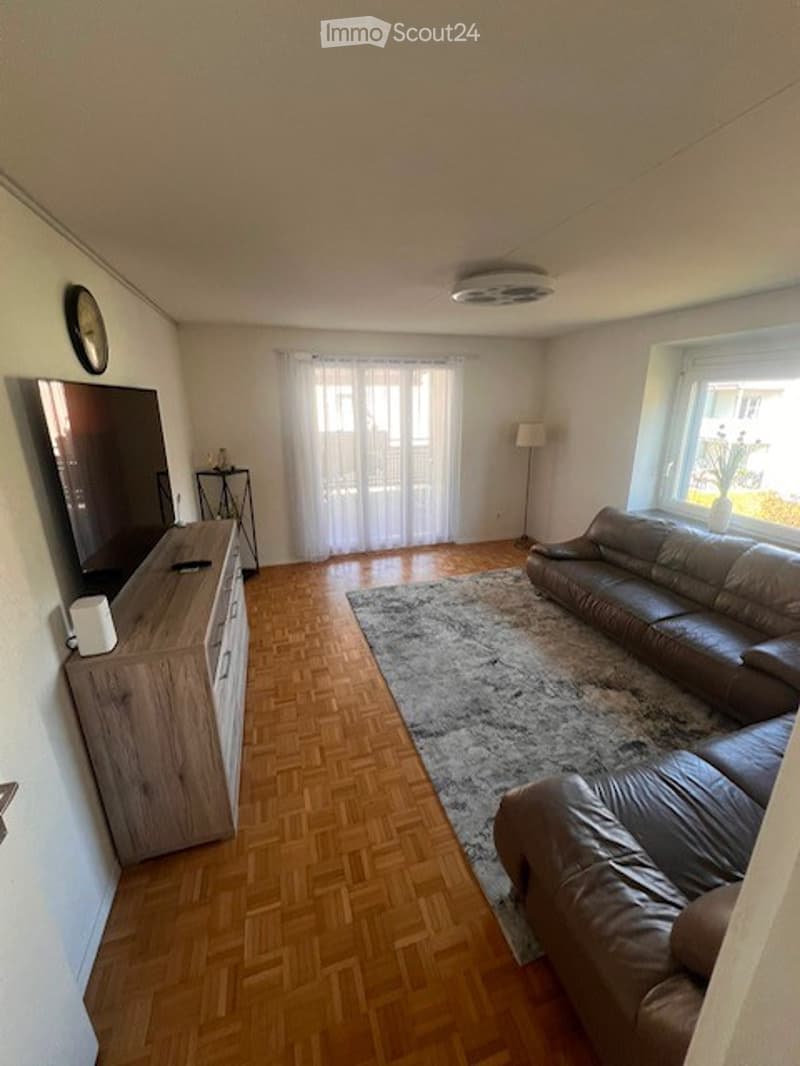 Modern living room with hardwood flooring, large window, grey leather sofa, coffee table, TV stand, floor lamp, and a decorative rug.