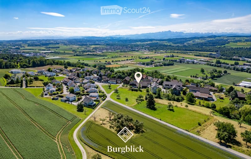 Aerial view of a rural village with houses, green fields, and distant mountains.