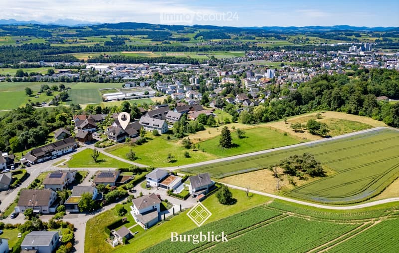 Aerial view of a suburban neighborhood with multiple houses, green lawns, and surrounding countryside with fields and distant mountains.