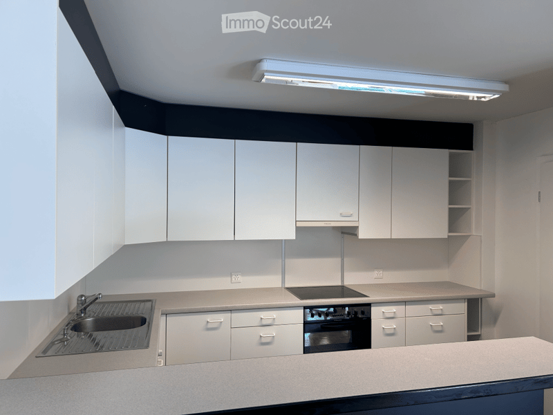 Modern kitchen with white cabinets, stainless steel sink, and built-in oven. Features a sleek, minimalist design with a long countertop and integrated lighting.