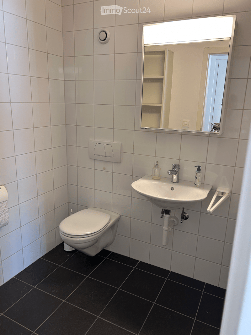 Modern bathroom with white tiled walls, black tiled floor, toilet, sink with mirror, and soap dispenser.