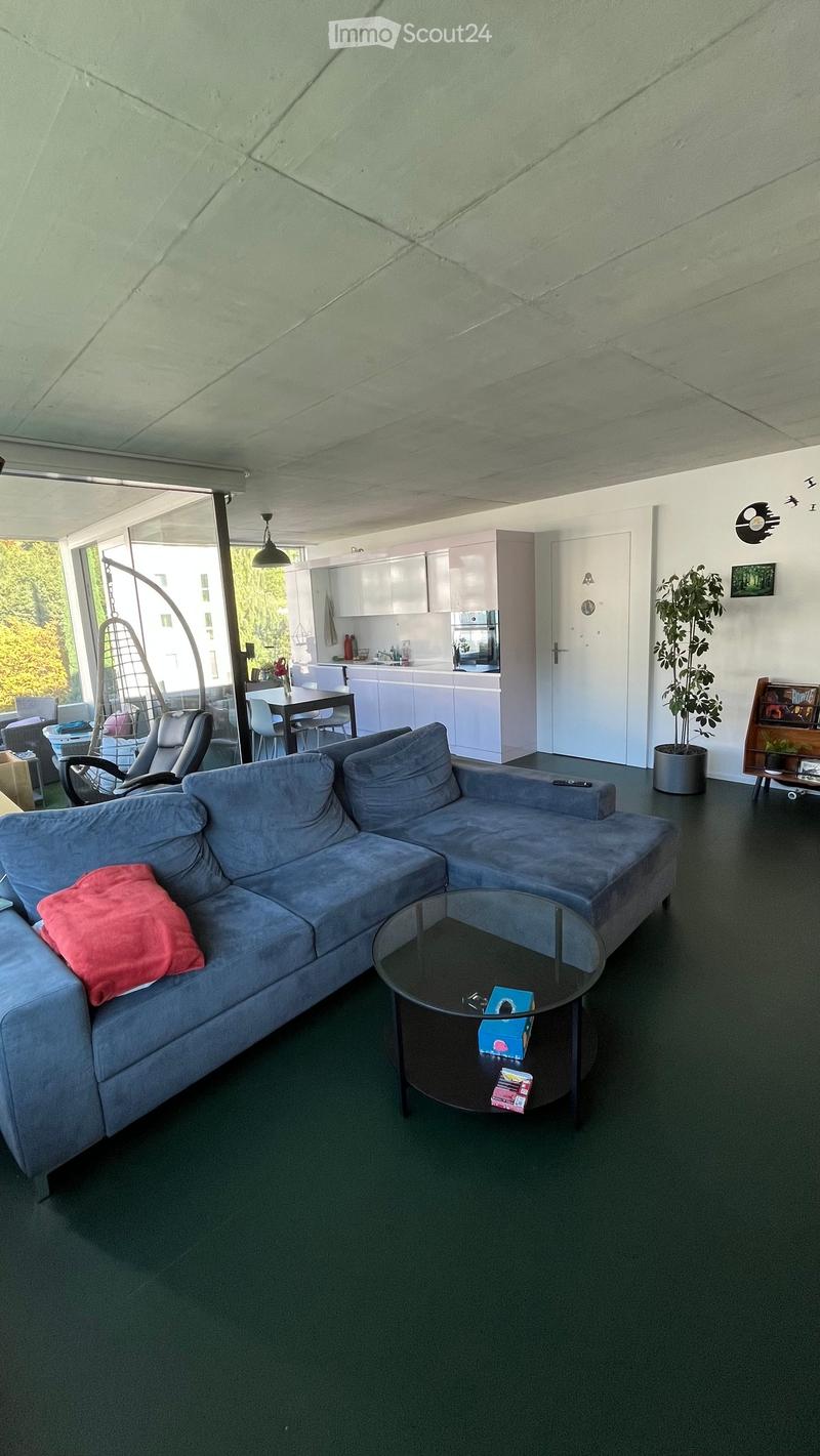 Modern living room with a grey sectional sofa, glass coffee table, dining area with white chairs and table, and a small kitchen area with white cabinets and a dishwasher. There is also a potted plant and a wicker hanging chair visible.