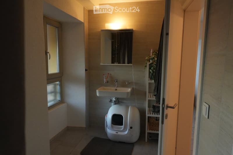 Modern bathroom with a white sink, mirror, cat litter box, small shelf with a plant and towel, and a window with frosted glass panels.