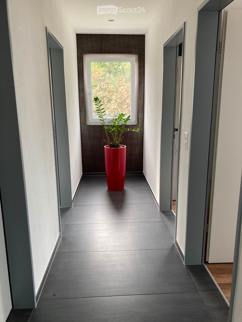 Modern hallway with grey tiled floor, white walls, and a red potted plant in the center. Features a window with a view of greenery and several doors on either side.