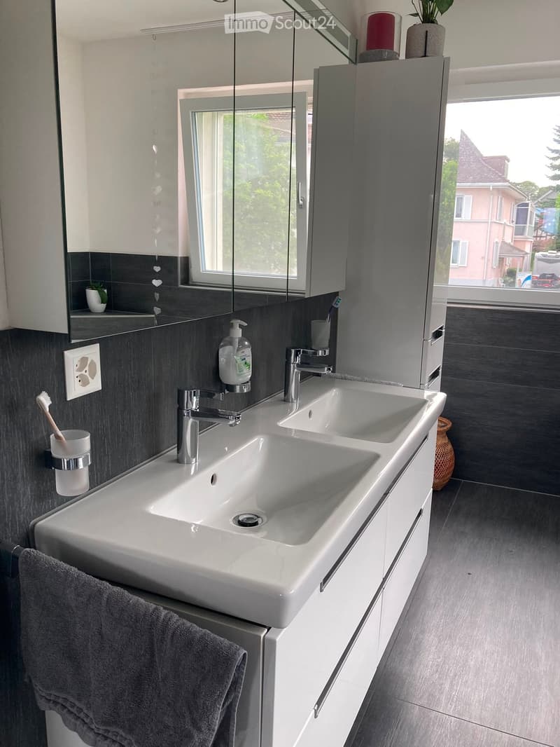 Modern bathroom with double sink, chrome faucets, dark grey tiles, and a large mirror with built-in storage. A small plant and decorative candle are on the cabinet.