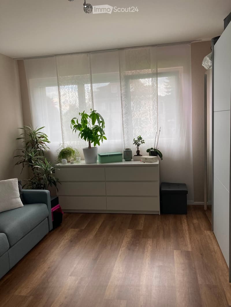 Living room with wooden flooring, grey sofa, grey cabinet, small table with plants and decorative items, and a black stool.