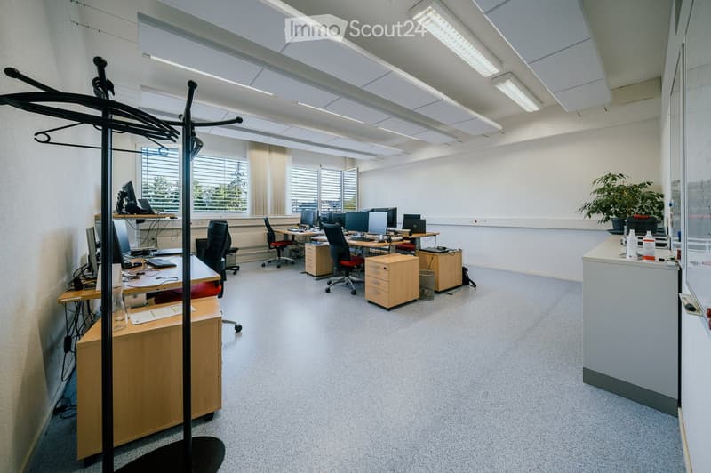 Office space with multiple desks, chairs, computers, and a coat rack. Large windows with blinds and a potted plant are visible.