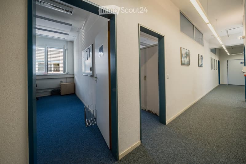 A clean, well-lit hallway with carpeted floors, white walls, and several doors leading to rooms. There are framed pictures on the walls and a small metal rack with papers on the left side.