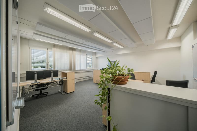 Modern office space with desks, chairs, computer screens, potted plant, and cabinets.