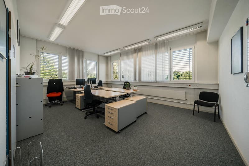 Office space with desks, chairs, computers, cabinets, and small plants. Large windows with blinds and overhead lighting.