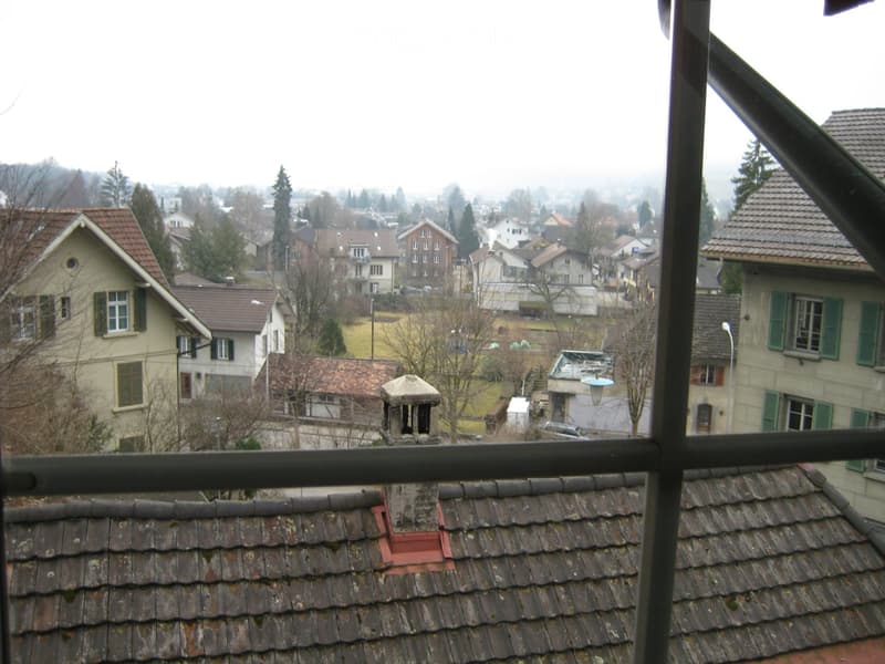 View from a balcony showing a residential neighborhood with multiple houses, trees, and a distant landscape under overcast skies.
