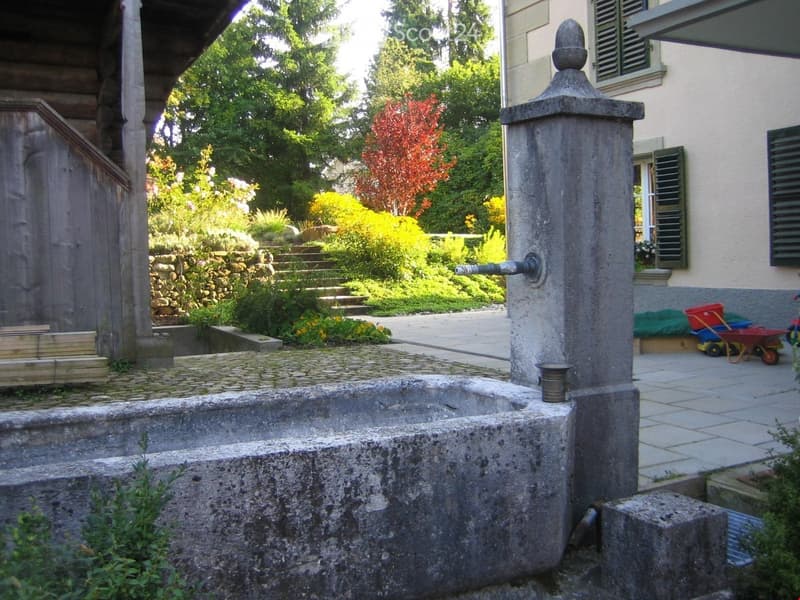 Garden area with stone steps, a decorative water fountain, lush greenery, and a small shed with a wheelbarrow nearby.