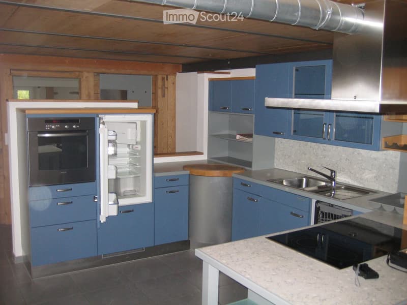 Modern kitchen with blue cabinets, stainless steel appliances, marble countertop, and wooden beams on the ceiling.