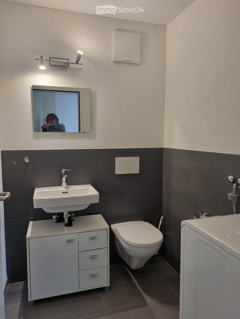Modern bathroom with a white sink, mirror, toilet, and cabinet. Dark grey tiles on lower half of walls, light grey tiles on upper half.