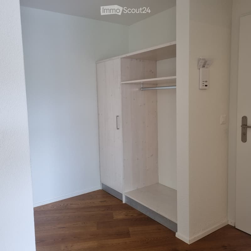 Empty room with wooden flooring, light-colored walls, and a built-in closet with shelves and a hanging rod.