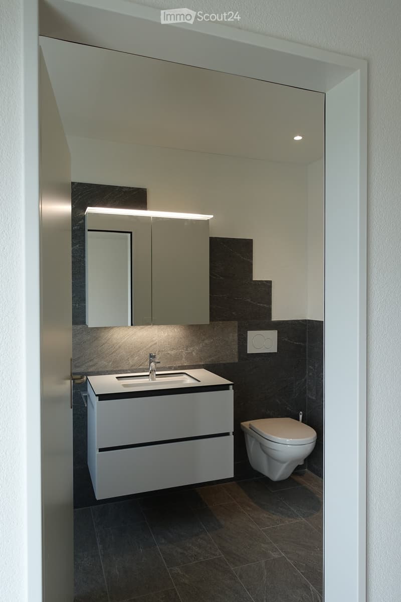 Modern bathroom with dark tiled walls, white cabinet, sink, mirror, and toilet.