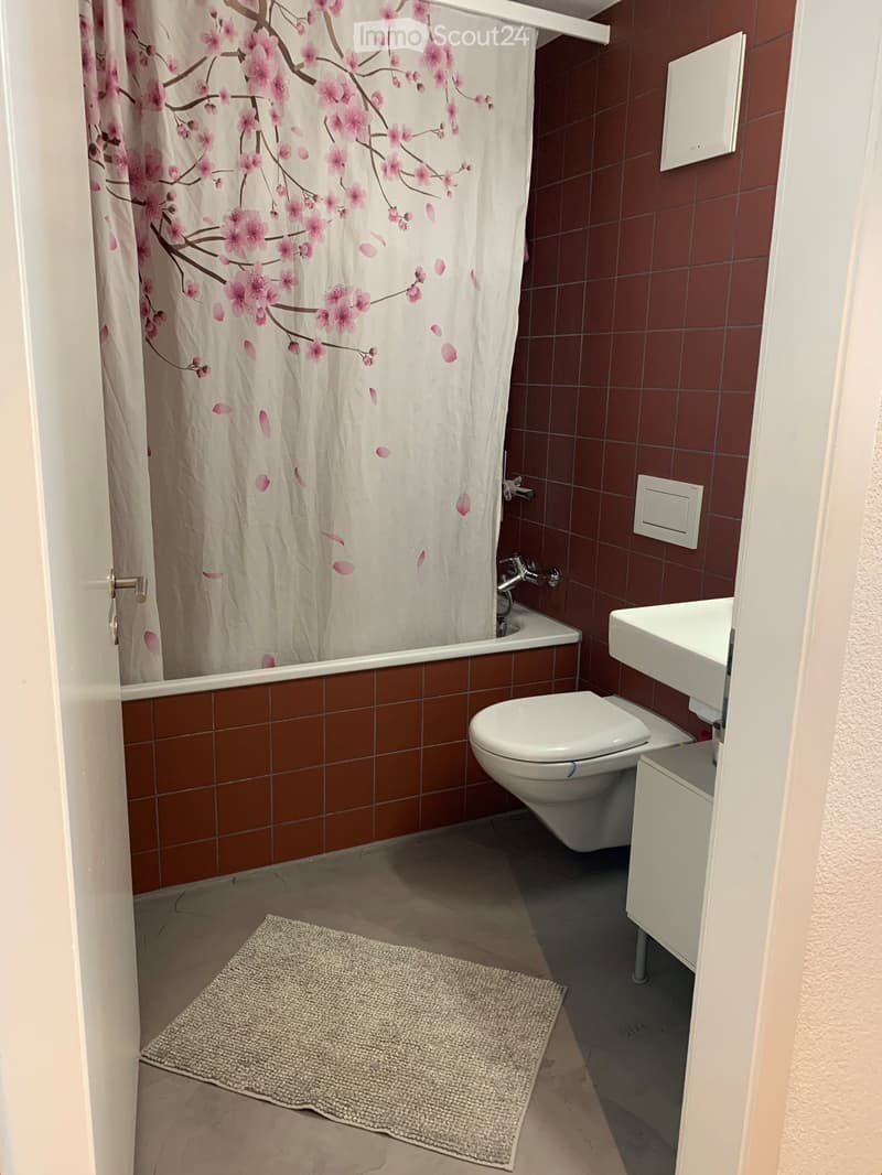 Bathroom with bathtub, shower curtain, toilet, sink, cabinet, and rug