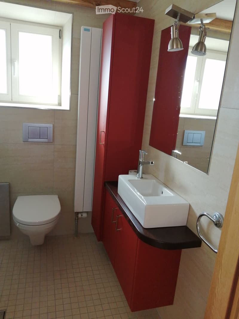 Modern bathroom with a white sink, chrome faucet, red cabinet, and a toilet. Features a large mirror with built-in lighting and a towel ring.