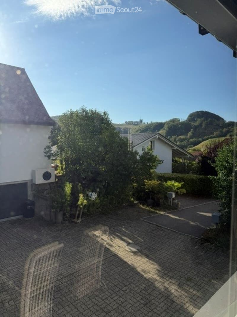 Charmantes 4.5-Zimmer-Einfamilienhaus in Wisen SO – Sofort verfügbar! (49)