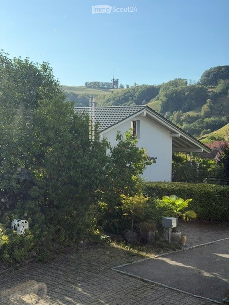 Charmantes 4.5-Zimmer-Einfamilienhaus in Wisen SO – Sofort verfügbar! (50)