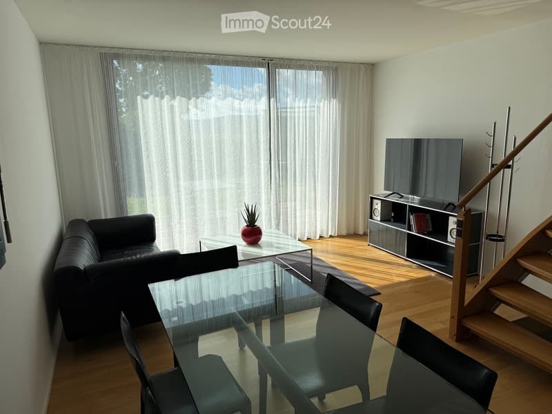 Modern living and dining area with a black leather sofa, glass coffee table, glass dining table with four chairs, TV on a stand, and a potted plant on the coffee table.